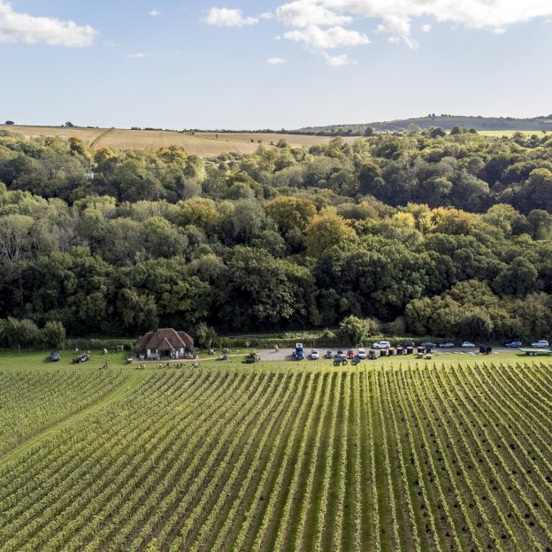 Wiston Estate Blanc de Noirs 2014 Extra Brut