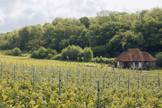 Wiston Estate - Award Winning English Sparkling Wine