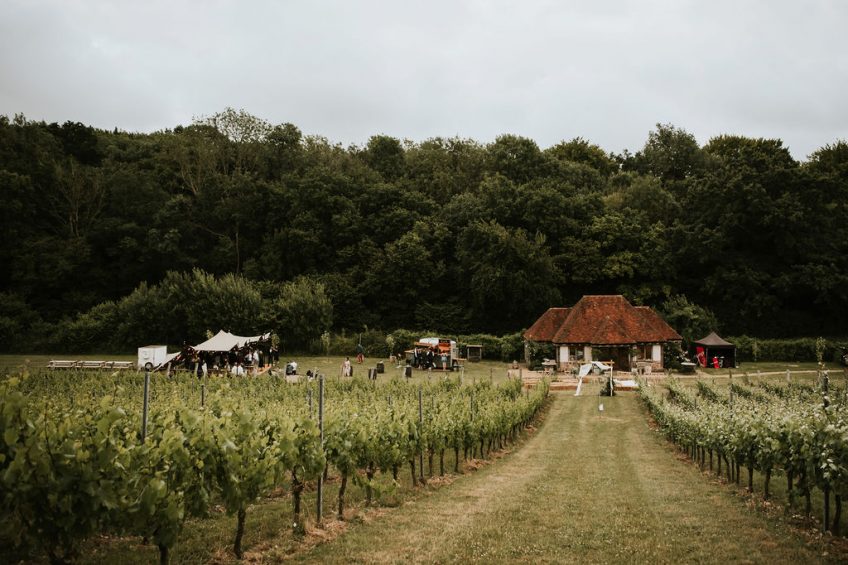 Wiston Estate - Award Winning English Sparkling Wine
