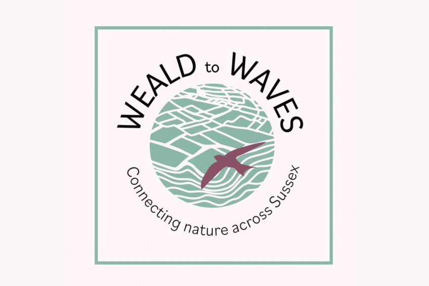 Weald to waves project