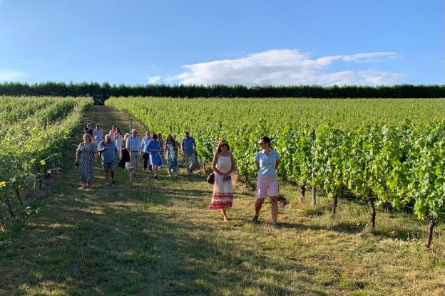 Safari Explorer Tour