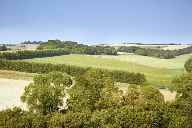 Wiston Estate - Award Winning English Sparkling Wine