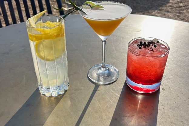 Introducing our new Gin