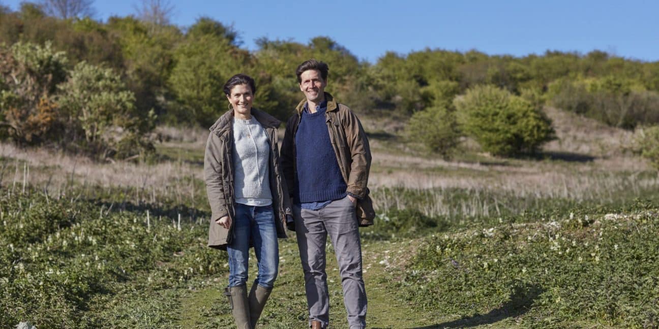 Wiston Estate - Award Winning English Sparkling Wine