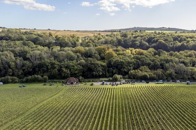 Wiston Estate - Award Winning English Sparkling Wine