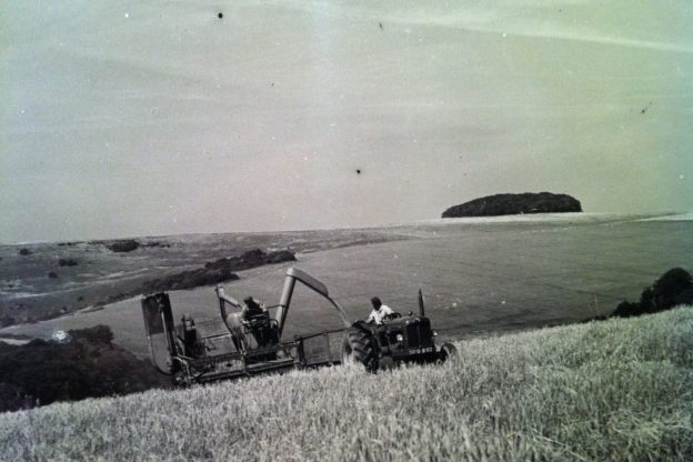 Wiston Estate - Award Winning English Sparkling Wine