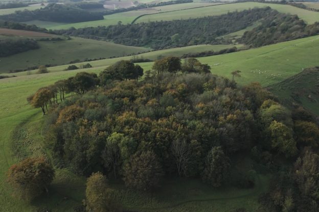 Wiston Estate - Award Winning English Sparkling Wine