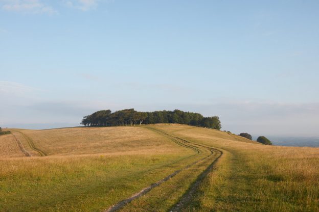 Wiston Estate - Award Winning English Sparkling Wine