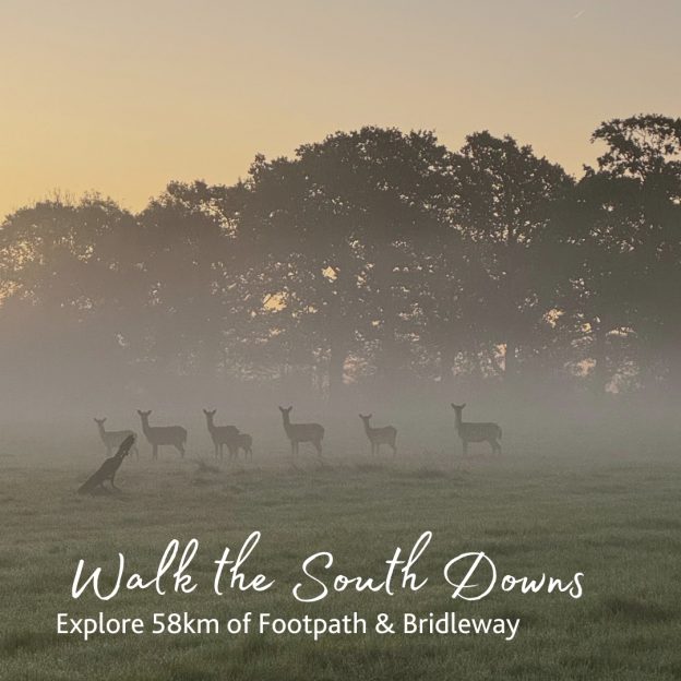 Wiston Estate, South Downs walking, things to do in Sussex