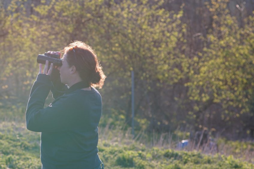 Penny Green, Wiston Estate Ecologist