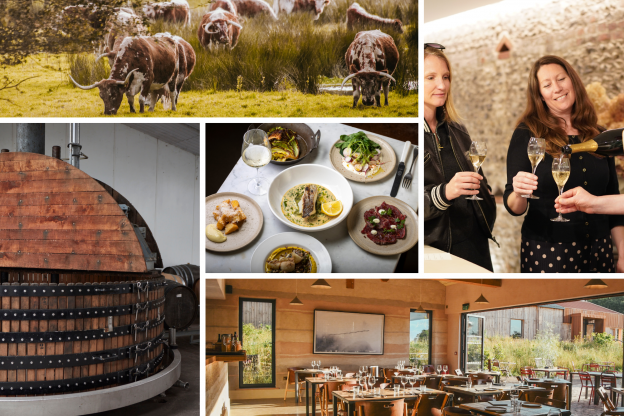 Win a day out with Wiston and Knepp