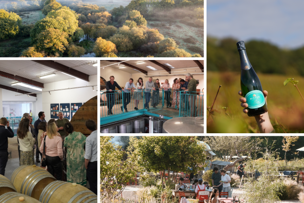 Wiston Estate - Award Winning English Sparkling Wine