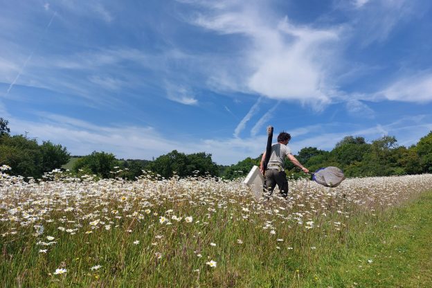Nurturing Nature at Wiston Estate