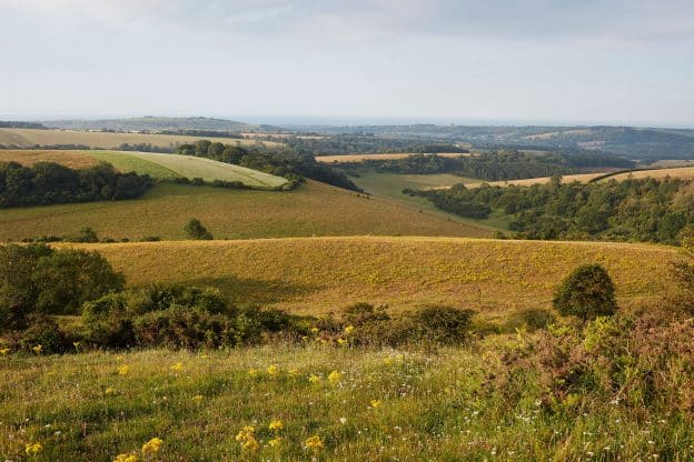 Thoughts on Farming for Nature – Richard Goring