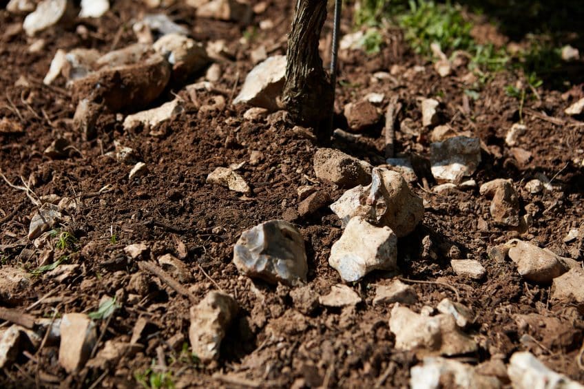 The Soil