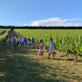 Wiston Estate - Award Winning English Sparkling Wine