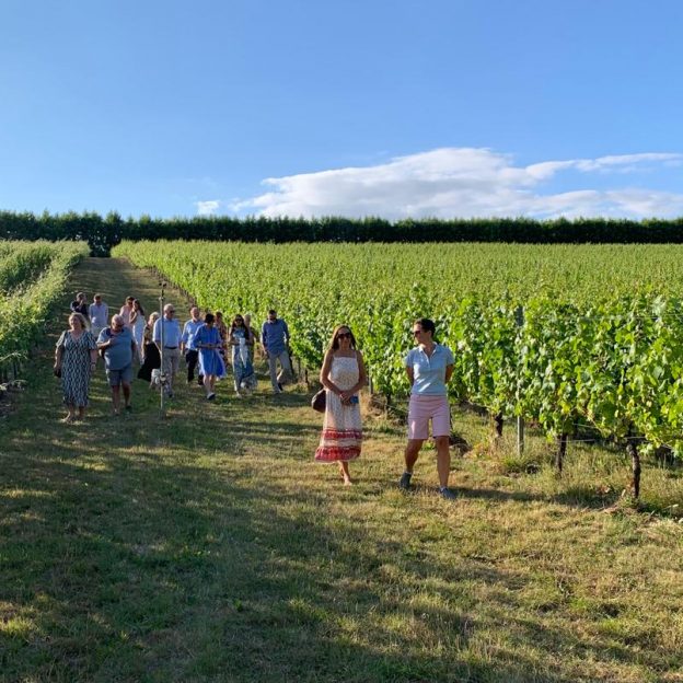 Wiston Estate - Award Winning English Sparkling Wine